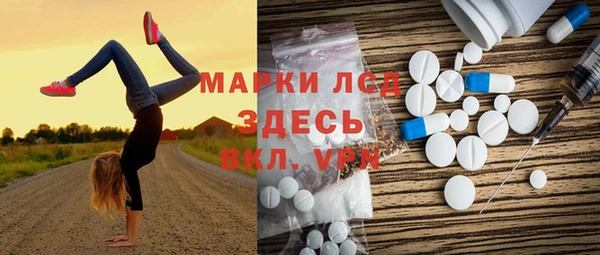 хмурый Няндома